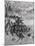 Lexington Green, Harper's Magazine, c.1883-Howard Pyle-Mounted Giclee Print