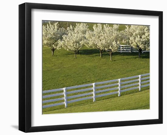 Lexington, Kentucky, USA-null-Framed Photographic Print