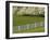 Lexington, Kentucky, USA-null-Framed Photographic Print