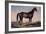 Lexington, The Celebrated Horse-Currier & Ives-Framed Giclee Print