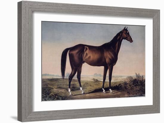 Lexington, The Celebrated Horse-Currier & Ives-Framed Giclee Print