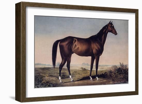 Lexington, The Celebrated Horse-Currier & Ives-Framed Giclee Print