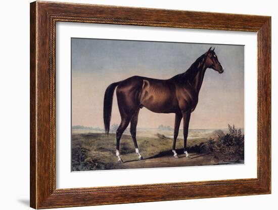 Lexington, The Celebrated Horse-Currier & Ives-Framed Giclee Print