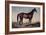 Lexington, The Celebrated Horse-Currier & Ives-Framed Giclee Print