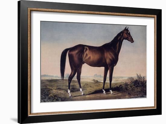 Lexington, The Celebrated Horse-Currier & Ives-Framed Giclee Print