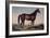 Lexington, The Celebrated Horse-Currier & Ives-Framed Giclee Print