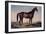 Lexington, The Celebrated Horse-Currier & Ives-Framed Giclee Print
