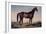 Lexington, The Celebrated Horse-Currier & Ives-Framed Giclee Print