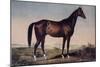 Lexington, The Celebrated Horse-Currier & Ives-Mounted Giclee Print