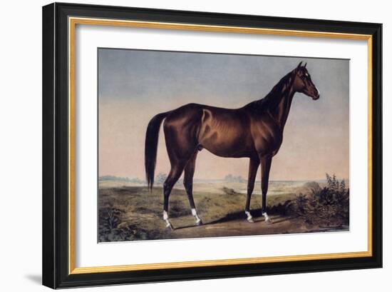 Lexington, The Celebrated Horse-Currier & Ives-Framed Giclee Print