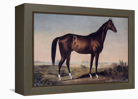 Lexington, The Celebrated Horse-Currier & Ives-Framed Premier Image Canvas