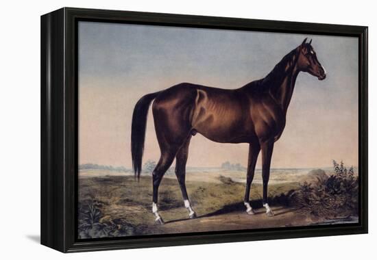 Lexington, The Celebrated Horse-Currier & Ives-Framed Premier Image Canvas