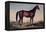 Lexington, The Celebrated Horse-Currier & Ives-Framed Premier Image Canvas