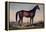 Lexington, The Celebrated Horse-Currier & Ives-Framed Premier Image Canvas