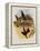 Leybold's Firecrown, Eustephanus Leyboldi-John Gould-Framed Premier Image Canvas