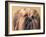 Lhasa Apso Face Portrait with Hair Plaited-Adriano Bacchella-Framed Photographic Print