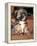 Lhasa Apso Puppy Portrait-Adriano Bacchella-Framed Premier Image Canvas