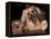 Lhasa Apso with Framed Pictures of Other Lhasa Apsos-Adriano Bacchella-Framed Premier Image Canvas