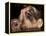 Lhasa Apso with Framed Pictures of Other Lhasa Apsos-Adriano Bacchella-Framed Premier Image Canvas