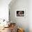 Lhasa Apso with Framed Pictures of Other Lhasa Apsos-Adriano Bacchella-Framed Photographic Print displayed on a wall