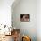 Lhasa Apso with Framed Pictures of Other Lhasa Apsos-Adriano Bacchella-Mounted Photographic Print displayed on a wall