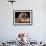 Lhasa Apso with Framed Pictures of Other Lhasa Apsos-Adriano Bacchella-Framed Photographic Print displayed on a wall