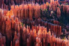 Bryce Canyon at Sunset-Li Austin-Premium Photographic Print