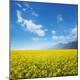 Premium Photographic Print