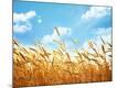 Premium Photographic Print