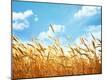Premium Photographic Print