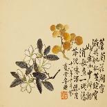 A Page (Dragonfly) from Flowers and Bird, Vegetables and Fruits-Li Shan-Giclee Print