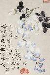 A Page (Dragonfly) from Flowers and Bird, Vegetables and Fruits-Li Shan-Framed Giclee Print