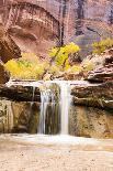 Kayaker Descending Waterfall Outside Of Crested Butte Colorado-Liam Doran-Framed Photographic Print