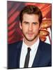 Liam Hemsworth-null-Mounted Photo