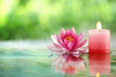 Lotus Flower Blossom-Liang Zhang-Photographic Print