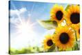 Stretched Canvas Print