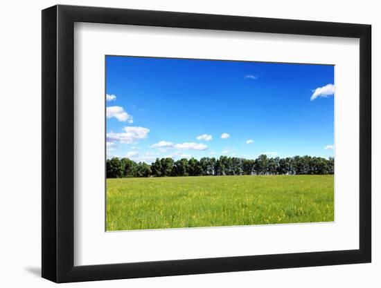 Photographic Print, , large