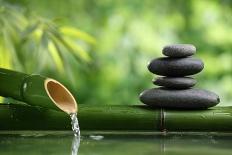 Spa Still Life with Lotus and Zen Stone on Water,Bamboo Background.-Liang Zhang-Photographic Print