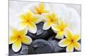 Premium Photographic Print