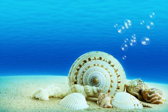 Photographic Print, , large