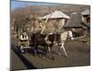 Photographic Print