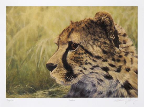 Collectable Print, , large