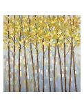 Glistening Tree Tops-Libby Smart-Framed Giclee Print