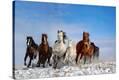 Stretched Canvas Print