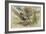 Libellule-Gustave Moreau-Framed Giclee Print