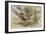 Libellule-Gustave Moreau-Framed Giclee Print