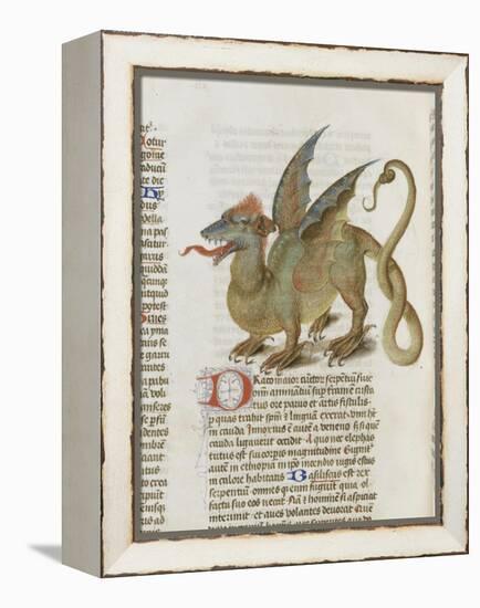 Liber Floridus by Lambert of Saint-Omer: Dragon Major-null-Framed Premier Image Canvas