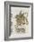 Liber Floridus by Lambert of Saint-Omer: Dragon Major-null-Framed Giclee Print
