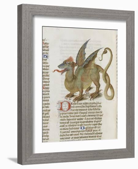 Liber Floridus by Lambert of Saint-Omer: Dragon Major-null-Framed Giclee Print