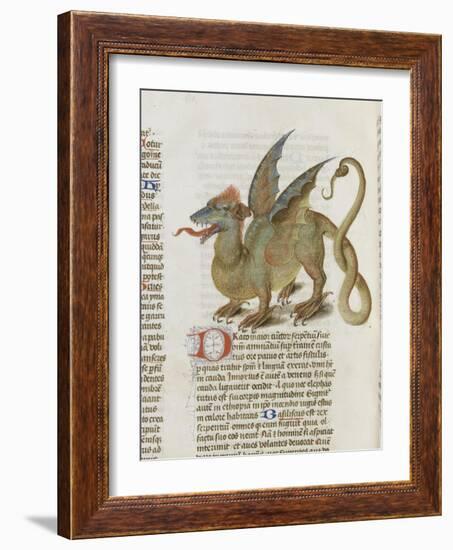 Liber Floridus by Lambert of Saint-Omer: Dragon Major-null-Framed Giclee Print